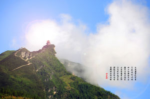 雲台觀組