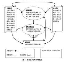 有機戰略管理模式