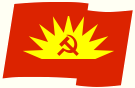愛爾蘭共產黨