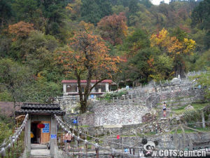 海螺溝國家森林公園 2號營地