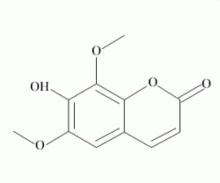 異嗪皮啶分子結構圖