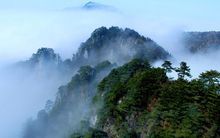 明月山森林公園