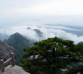 白雲鄉[福建省永泰縣白雲鄉]