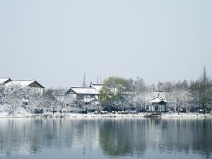 琴館附近景致