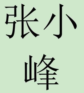 張小峰[鄭州煤機綜機設備有限公司辦公室主]