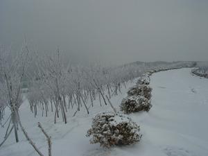 《阮郎歸·紹興乙卯大雪行鄱陽道中》