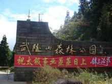 涪陵白鶴森林公園