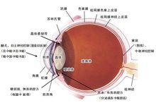 閃屏對眼睛的危害