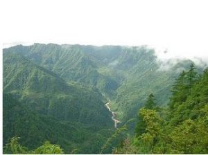 黃水森林公園