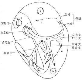 特發性心室顫動