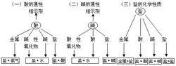 鹼的通性