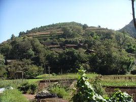 小村村[雲南省昆明市尋甸回縣金源鄉小村村]