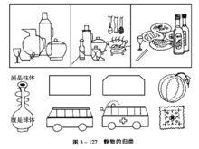 靜物簡筆畫