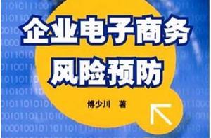 企業電子商務風險預防