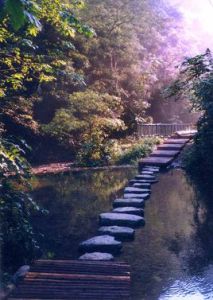 大板水森林公園