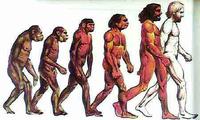 生物進化論
