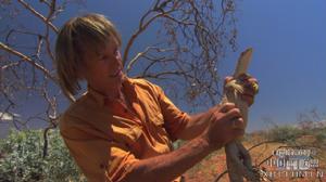 奧斯丁史蒂文 奧斯丁史蒂文