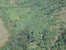 魯納村[雲南昆明市東川區阿旺鎮下轄村]