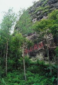 福建天成奇峽江氏山莊