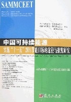 中國可持續能源實施“十一五”20%節能目標的途徑與措施研究