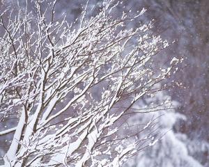 （圖）北山冰雪旅遊大世界