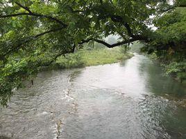 上劉村[廣西桂林市全州縣兩河鎮上劉村]