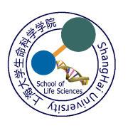 上海大學生命科學學院