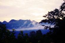 大屯村[貴州畢節市大方縣大方鎮大屯村]