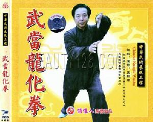 武當龍化拳