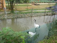 九峰國家森林公園