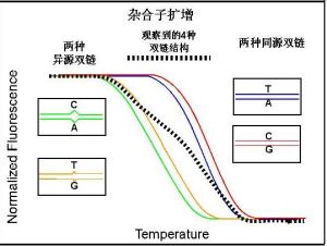 熔解