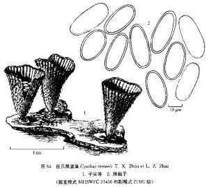 任氏黑蛋巢