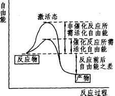 自由能