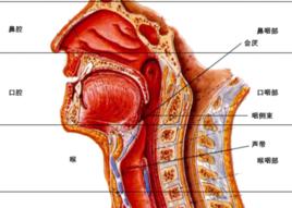 喉返神經癱瘓