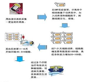 細胞免疫治療