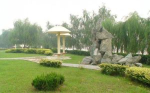 利津黃河生態公園
