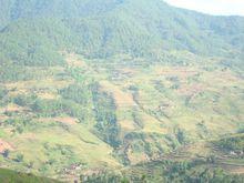 團山自然村[雲南普洱景東彝縣錦屏鎮溫卜村委團山自然村]