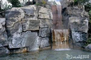 金坑林海旅遊景點圖片