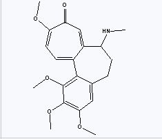 分子結構