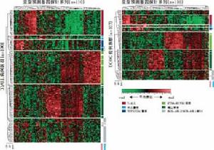 兒童急性淋巴細胞性白血病