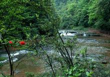 黃荊鄉一景