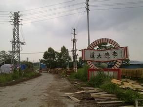 李路口村