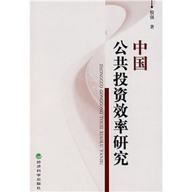 《中國公共投資效率研究》