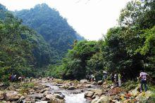 紫荊山