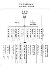 企業組織構架