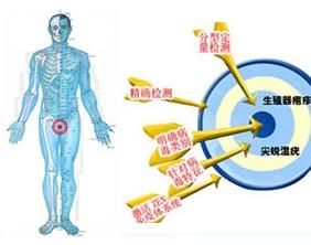 TH自體細胞免疫治療體系