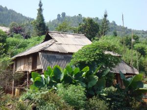 曼囡中分寨村