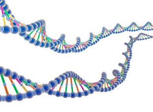 DNA電路