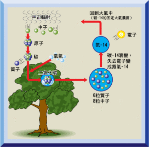 碳鍾