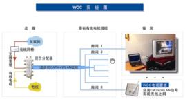 WOC[高速無線網路]